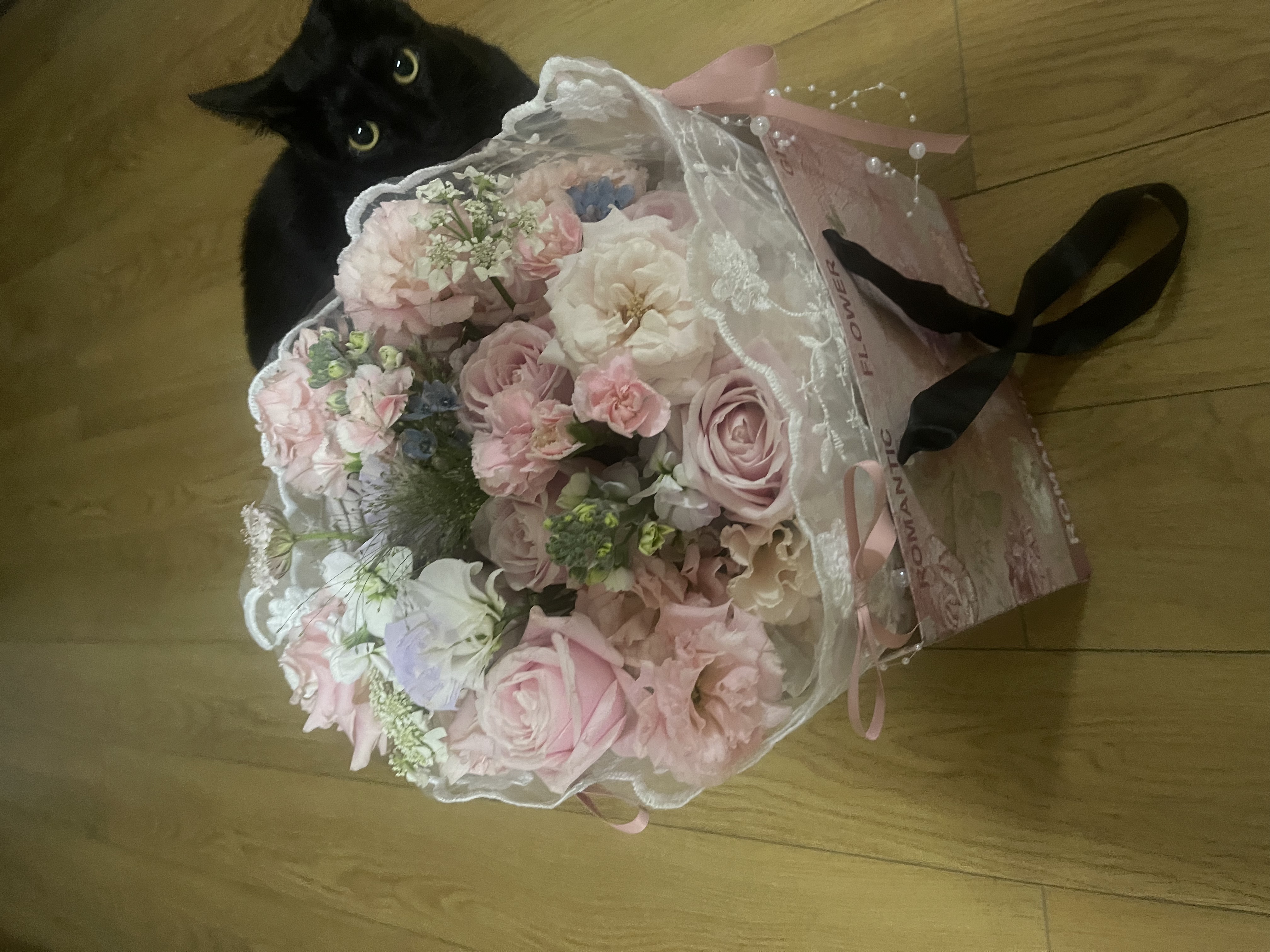 Black cat with flower