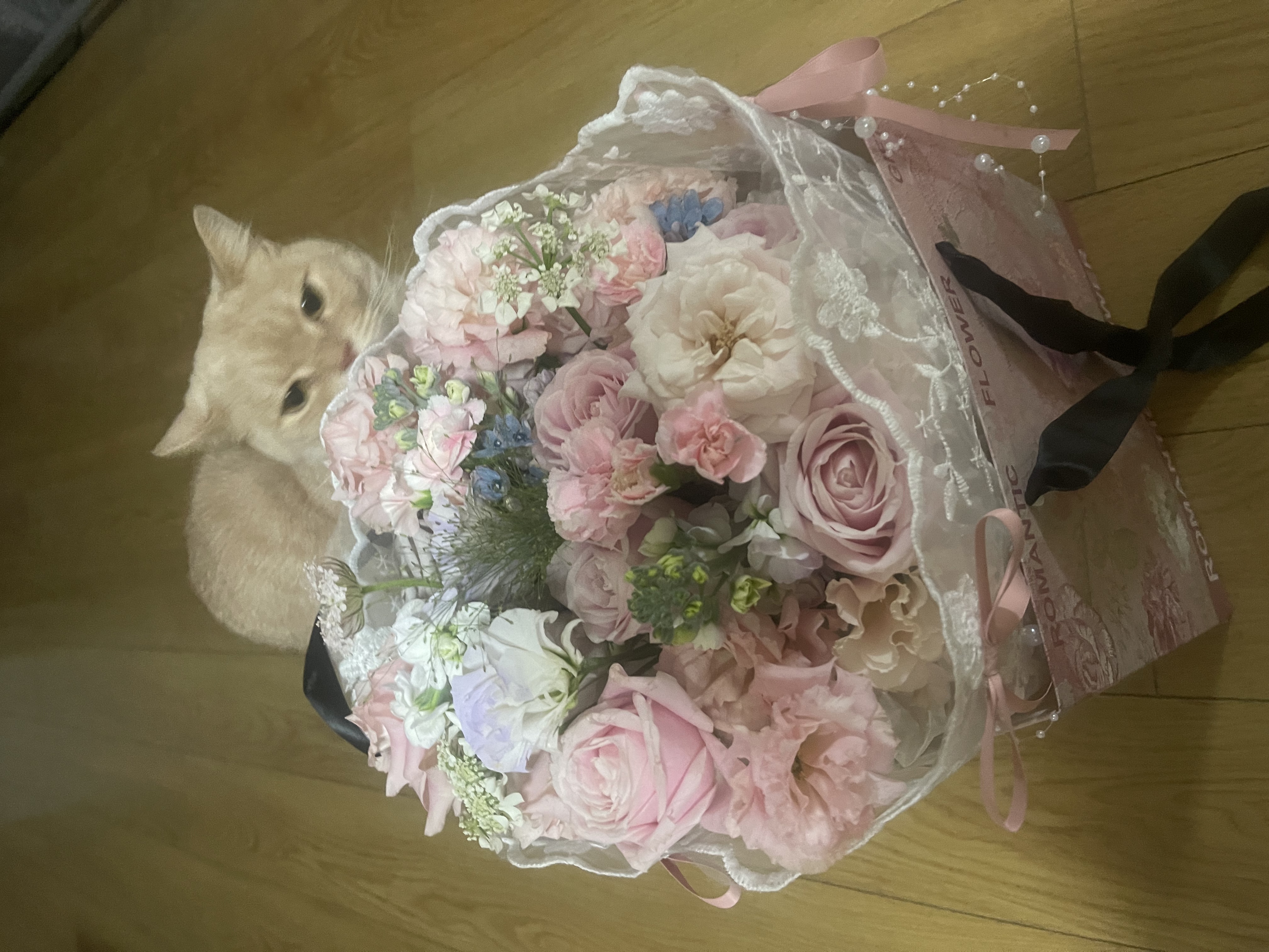 Orange cat with flower